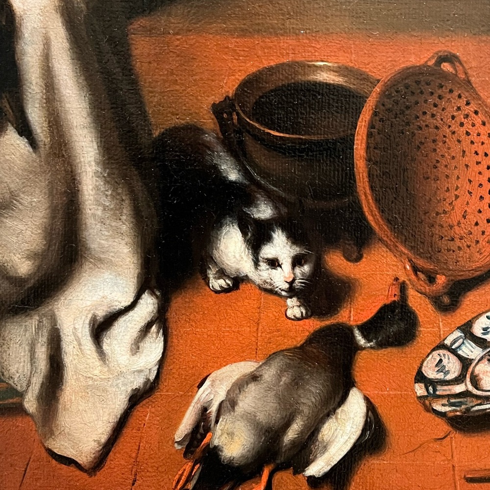 Modern, urban, witchy 🐈‍⬛🐈‍⬛